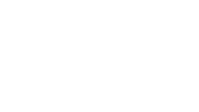 Logo - VVS fagmann